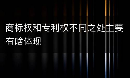 商标权和专利权不同之处主要有啥体现