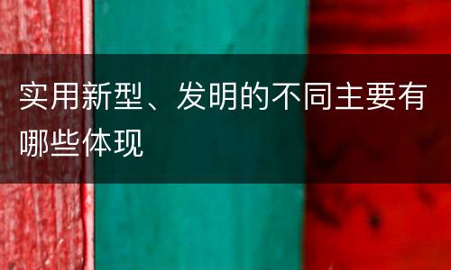 实用新型、发明的不同主要有哪些体现