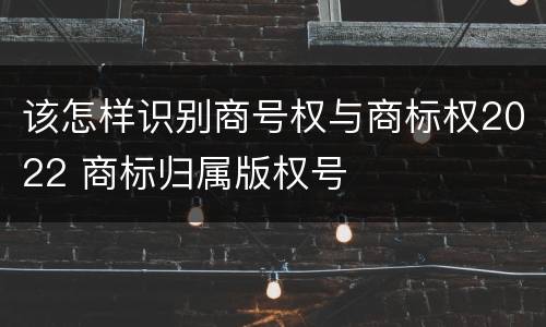 该怎样识别商号权与商标权2022 商标归属版权号