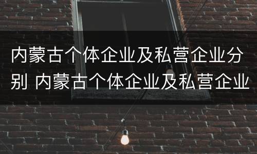 内蒙古个体企业及私营企业分别 内蒙古个体企业及私营企业分别有哪些