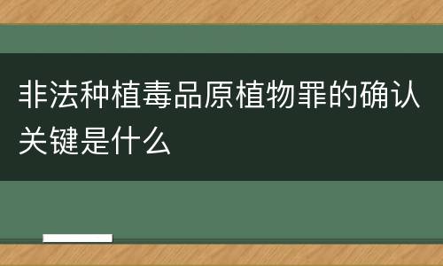 非法种植毒品原植物罪的确认关键是什么