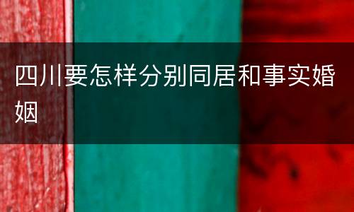 四川要怎样分别同居和事实婚姻