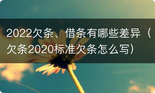 2022欠条、借条有哪些差异（欠条2020标准欠条怎么写）