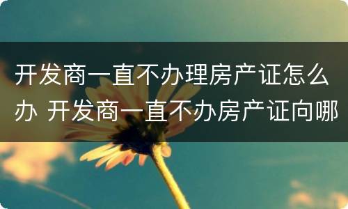 开发商一直不办理房产证怎么办 开发商一直不办房产证向哪个部门投诉