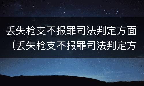 丢失枪支不报罪司法判定方面（丢失枪支不报罪司法判定方面怎么写）