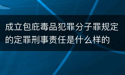 成立包庇毒品犯罪分子罪规定的定罪刑事责任是什么样的