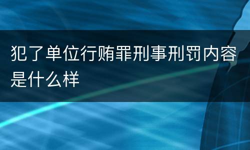 犯了单位行贿罪刑事刑罚内容是什么样