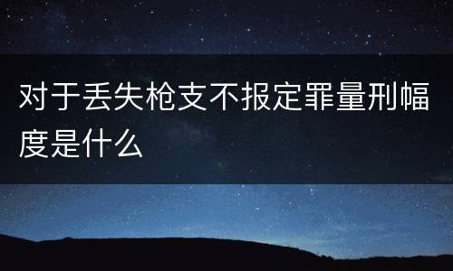 对于丢失枪支不报定罪量刑幅度是什么