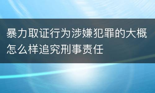 暴力取证行为涉嫌犯罪的大概怎么样追究刑事责任