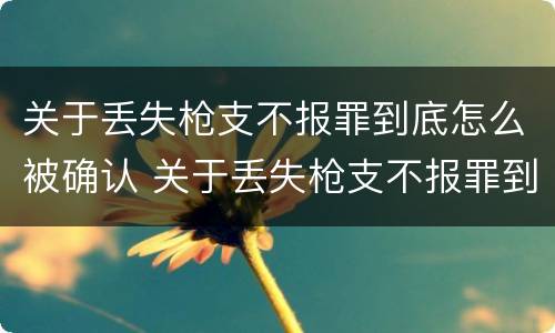 关于丢失枪支不报罪到底怎么被确认 关于丢失枪支不报罪到底怎么被确认罪名