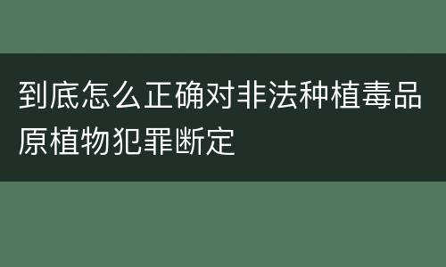 到底怎么正确对非法种植毒品原植物犯罪断定