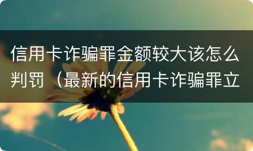 信用卡诈骗罪金额较大该怎么判罚（最新的信用卡诈骗罪立案量刑标准）