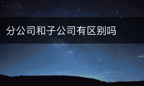 分公司和子公司有区别吗