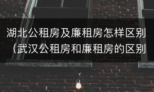 湖北公租房及廉租房怎样区别（武汉公租房和廉租房的区别）