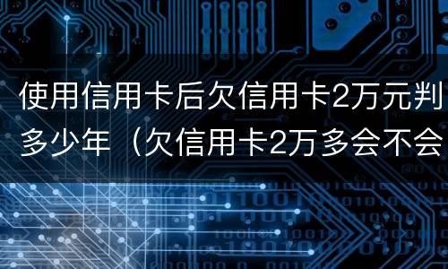 使用信用卡后欠信用卡2万元判多少年（欠信用卡2万多会不会坐牢）