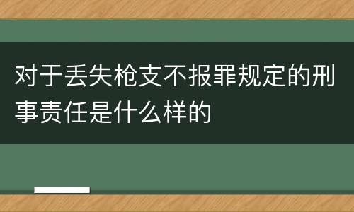 对于丢失枪支不报罪规定的刑事责任是什么样的