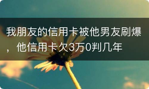 我朋友的信用卡被他男友刷爆，他信用卡欠3万0判几年