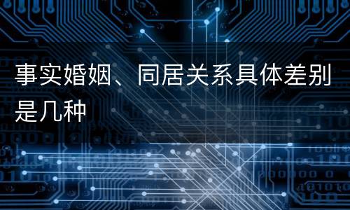 事实婚姻、同居关系具体差别是几种