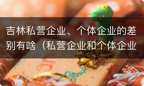 吉林私营企业、个体企业的差别有啥（私营企业和个体企业的区别）