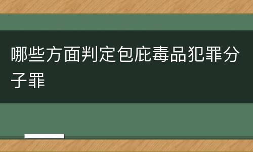 哪些方面判定包庇毒品犯罪分子罪