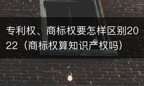 专利权、商标权要怎样区别2022（商标权算知识产权吗）