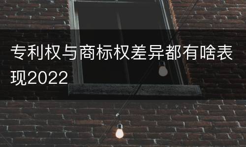 专利权与商标权差异都有啥表现2022