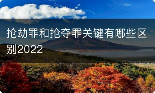 抢劫罪和抢夺罪关键有哪些区别2022