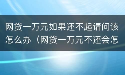 网贷一万元如果还不起请问该怎么办（网贷一万元不还会怎么样）