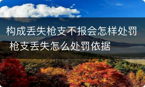 构成丢失枪支不报会怎样处罚 枪支丢失怎么处罚依据