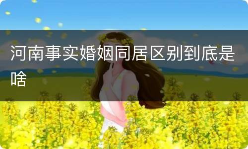 河南事实婚姻同居区别到底是啥