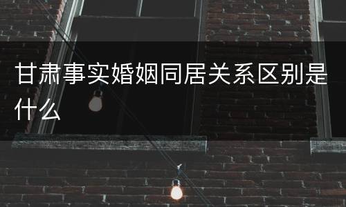 甘肃事实婚姻同居关系区别是什么