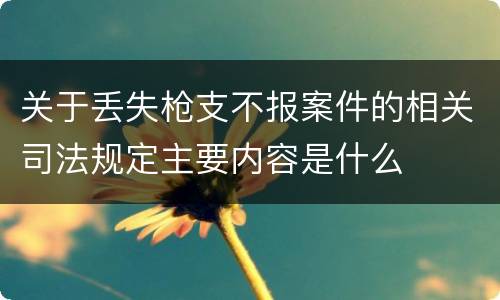 关于丢失枪支不报案件的相关司法规定主要内容是什么