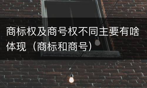 商标权及商号权不同主要有啥体现（商标和商号）