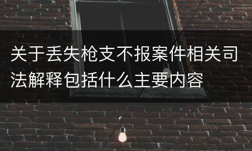 关于丢失枪支不报案件相关司法解释包括什么主要内容