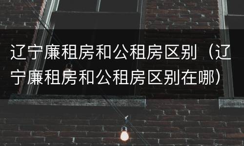 辽宁廉租房和公租房区别（辽宁廉租房和公租房区别在哪）