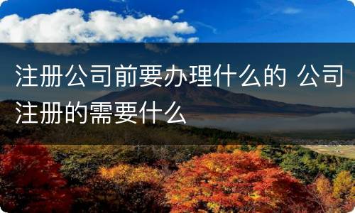 注册公司前要办理什么的 公司注册的需要什么