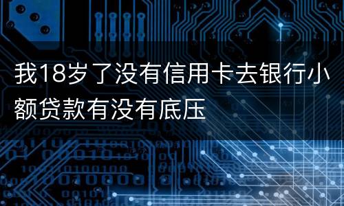 我18岁了没有信用卡去银行小额贷款有没有底压