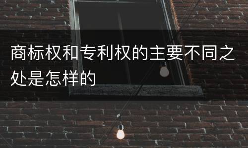 商标权和专利权的主要不同之处是怎样的