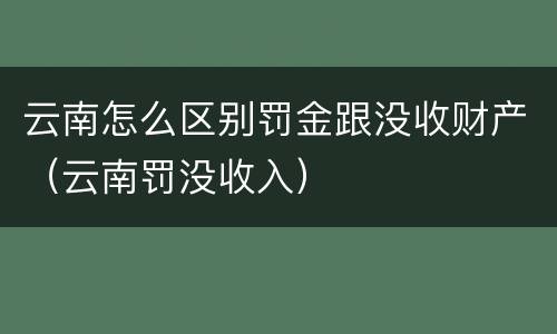 云南怎么区别罚金跟没收财产（云南罚没收入）