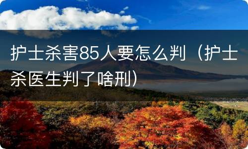 护士杀害85人要怎么判（护士杀医生判了啥刑）