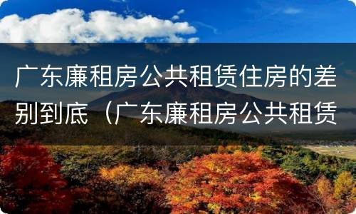 广东廉租房公共租赁住房的差别到底（广东廉租房公共租赁住房的差别到底有多大）