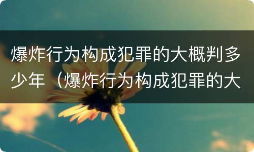 爆炸行为构成犯罪的大概判多少年（爆炸行为构成犯罪的大概判多少年缓刑）