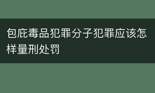 包庇毒品犯罪分子犯罪应该怎样量刑处罚