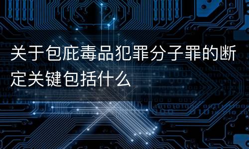 关于包庇毒品犯罪分子罪的断定关键包括什么