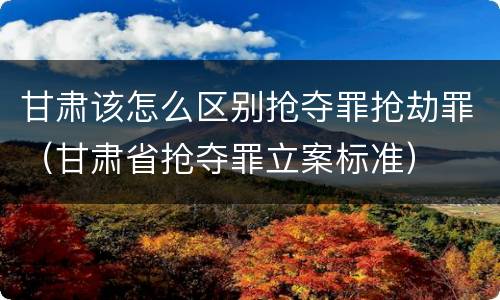 甘肃该怎么区别抢夺罪抢劫罪（甘肃省抢夺罪立案标准）