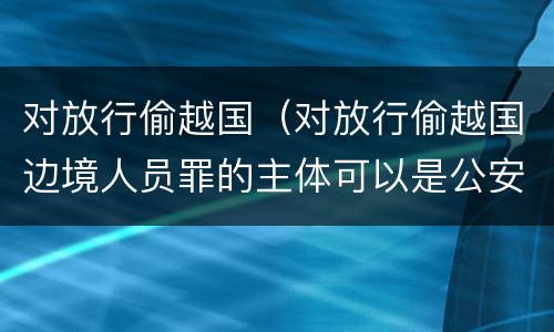 对放行偷越国（对放行偷越国边境人员罪的主体可以是公安民警吗）