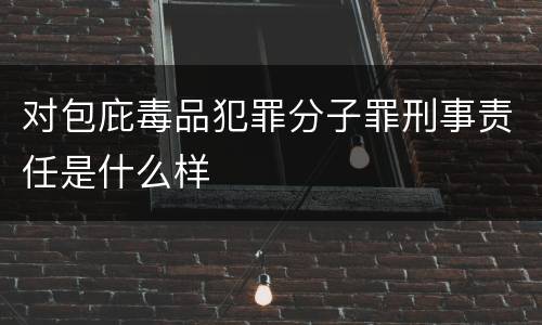 对包庇毒品犯罪分子罪刑事责任是什么样