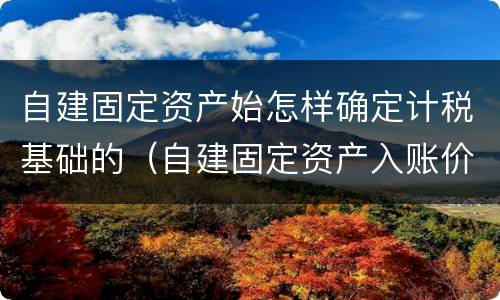 自建固定资产始怎样确定计税基础的（自建固定资产入账价值怎么算）