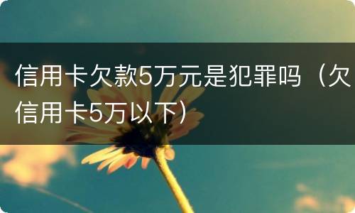 信用卡欠款5万元是犯罪吗（欠信用卡5万以下）