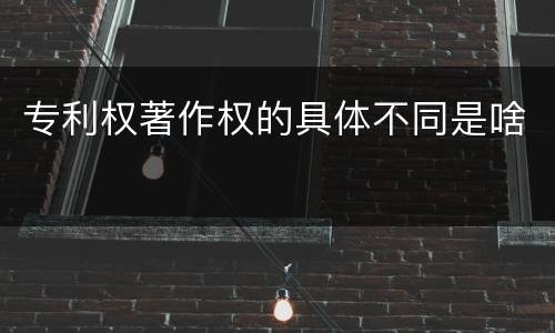 专利权著作权的具体不同是啥